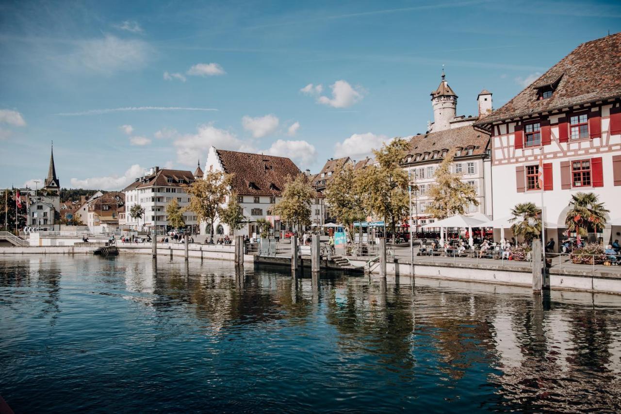 Ferienwohnung Am Sonnenberg Busingen am Hochrhein المظهر الخارجي الصورة